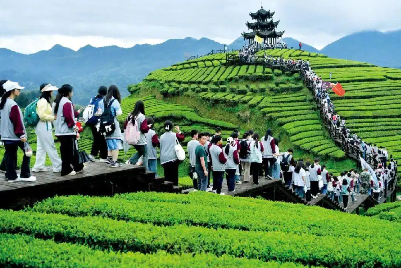 重庆伴伴科技有限公司 重庆伴伴科技有限公司